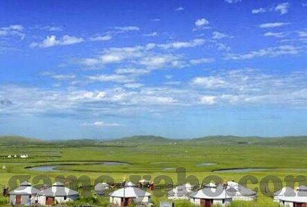 百家乐怎么看路图-百家乐之路图，透视与策略