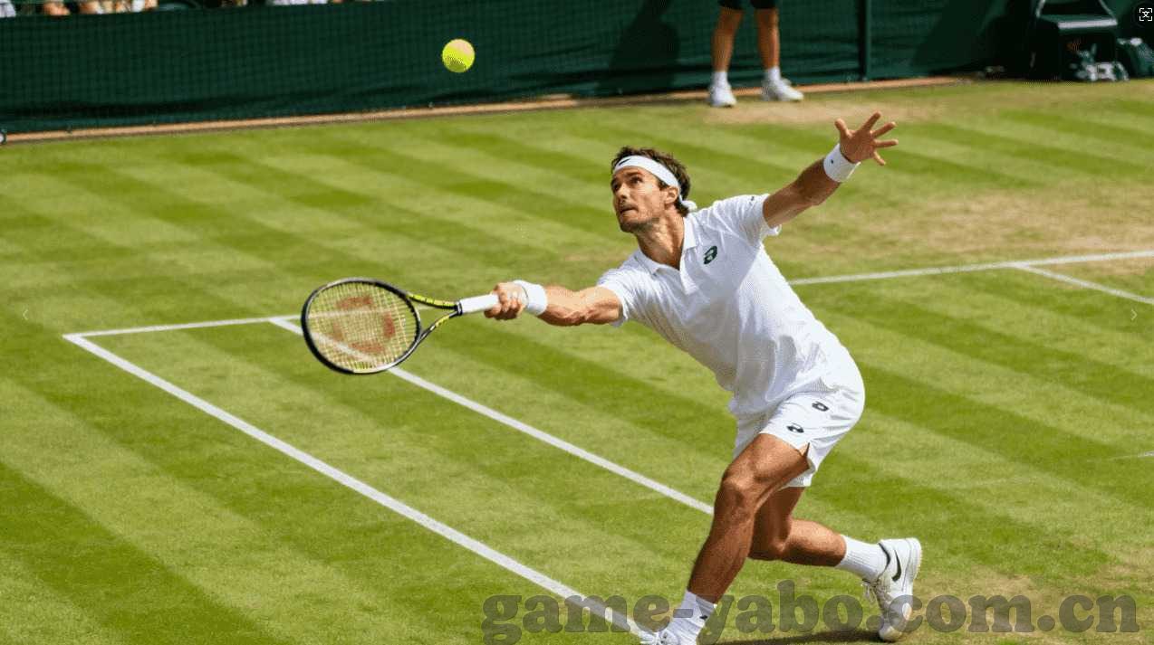 辽宁乐鱼体育被抓-辽宁乐鱼体育涉案，赌球背后的乱象与法治困境