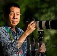 足球看比分盘-足球看比分盘，一场智慧与激情的博弈盛宴